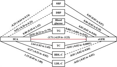 The Effects of Cardiometabolic Factors on the Association Between Serum Uric Acid and Chronic Kidney Disease in Chinese Middle-Aged and Older Population: A Mediation Analysis